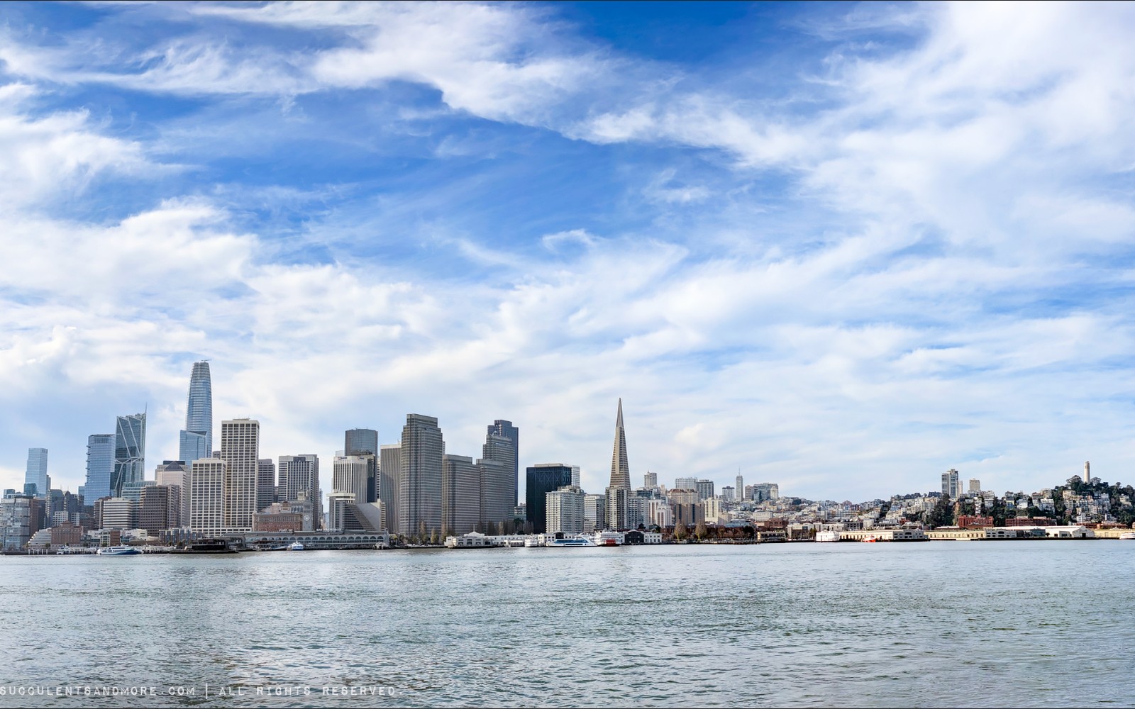 X-Ray Equipment Financing in San Francisco, CA